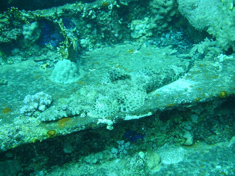07 EG-01 044.JPG